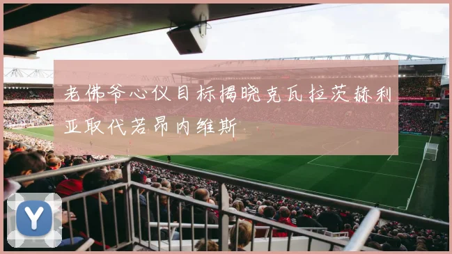 老佛爷心仪目标揭晓克瓦拉茨赫利亚取代若昂内维斯