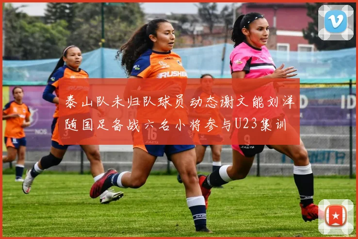 泰山队未归队球员动态谢文能刘洋随国足备战六名小将参与U23集训